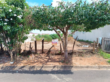 Rua Luiz de Souza, 135