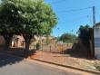 Rua Argelia Lote 19 - Quadra 01, s/n