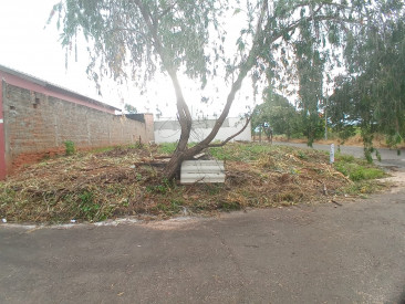 Rua Feies buassali, 155