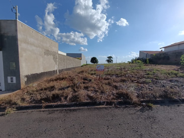 Rua Joaquim Olympio Credendio, s/n