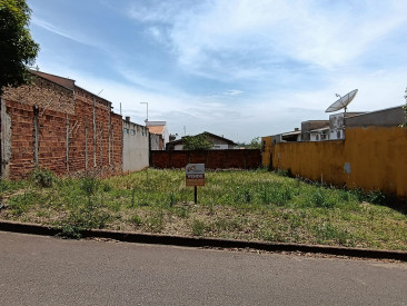 Rua José Gouveia Junior, s/n