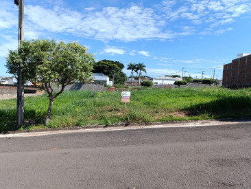 Alameda dos Ipês, S/N