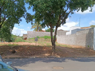 Rua João Fiorussi, s/n