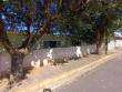 Rua Paineira, 90