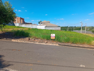 Alameda dos Ipês, S/N